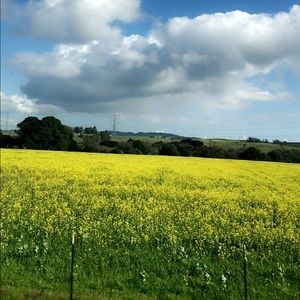 Meet your Posher, Kira